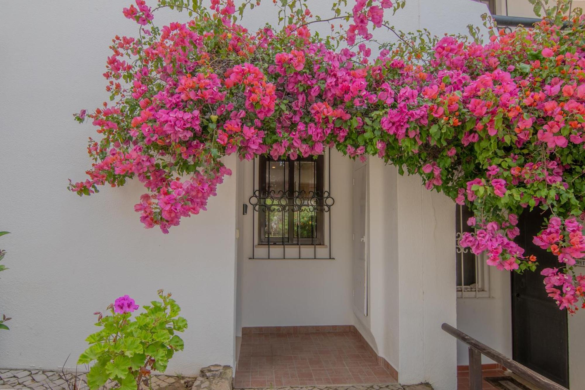 Coastal Retreat With Pool And Beach Access By Drago Rentals Albufeira Extérieur photo